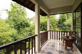 The Cangkringan Jogja & 5*